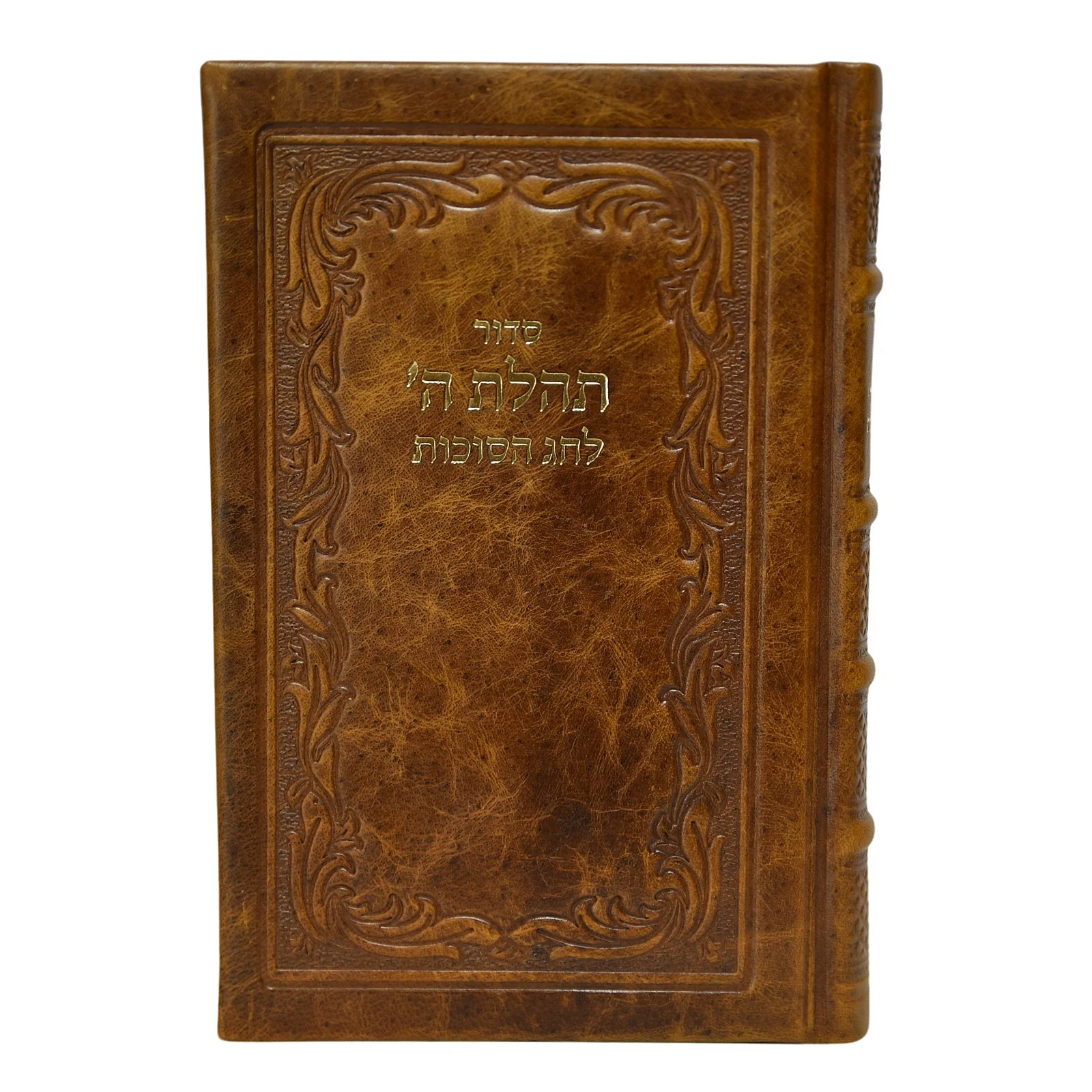 תמונה ממוזערת 2