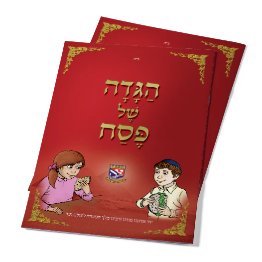 תמונה ממוזערת 1