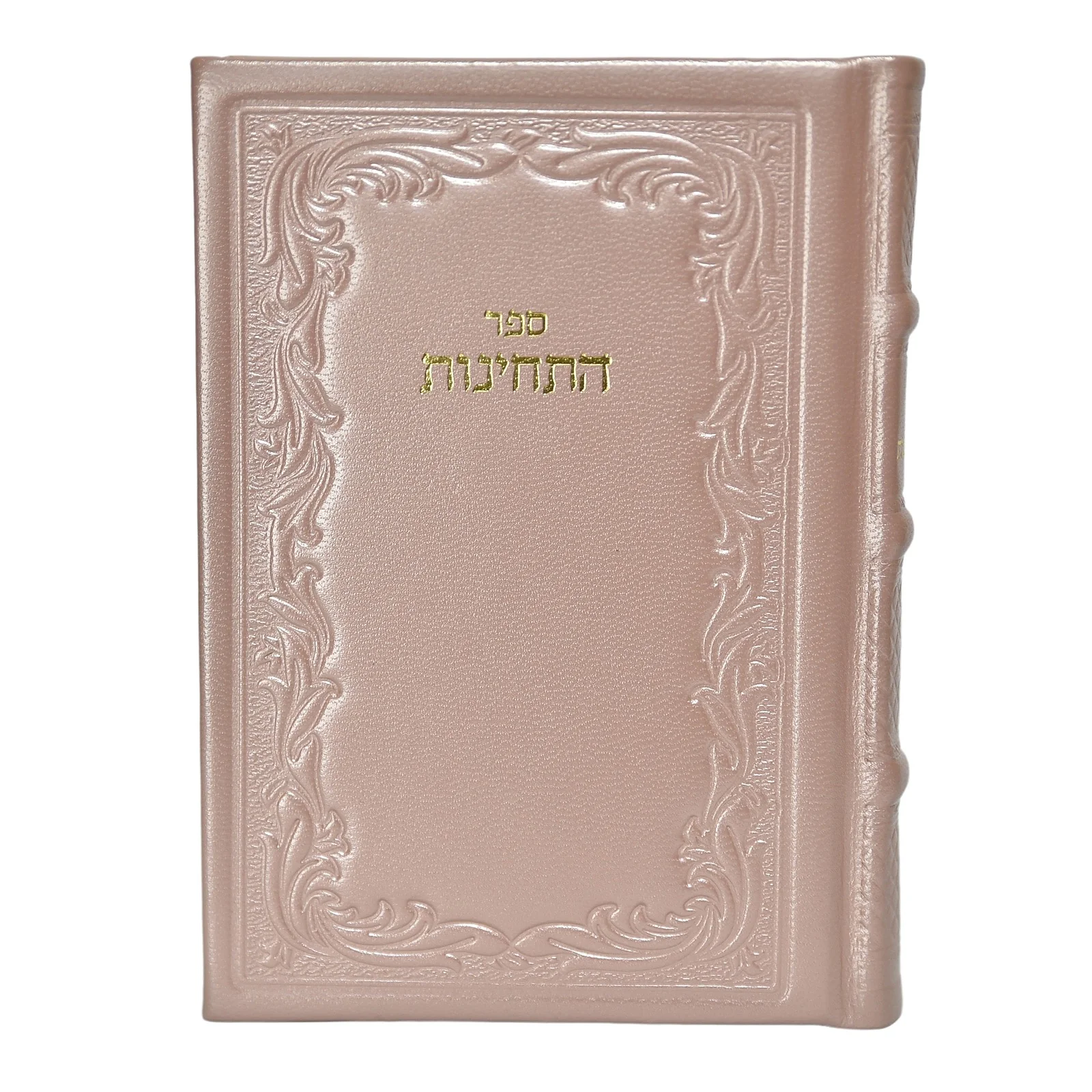 תמונה ממוזערת 2